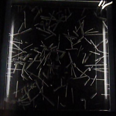 Datei:Spuren in Nebelkammer.jpeg