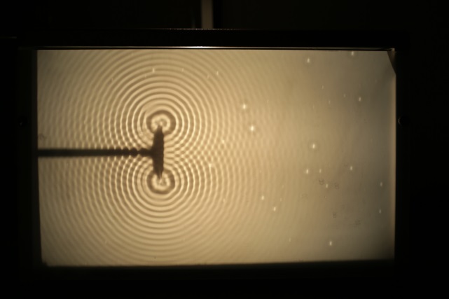 Datei:Interferenz des doppelten Kreiswellenerregers.jpg