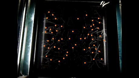 Datei:5 gezählt.png